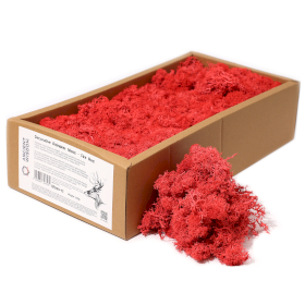 Decoration Reindeer Moss - Fire Red - (approx 500gm)