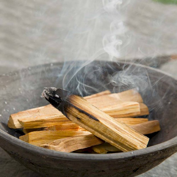 Green Tree Palo Santo - Ancient Wisdom Dropshipping