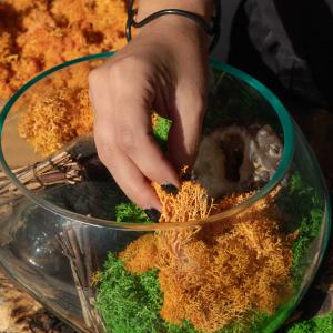 Quality Decorative Reindeer Moss